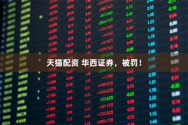 天猫配资 华西证券，被罚！