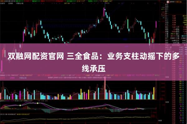 双融网配资官网 三全食品：业务支柱动摇下的多线承压